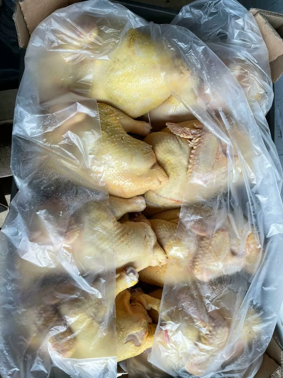 оптовая продажа мяса птицы в Нальчике и Кабардино-Балкарской республике 8