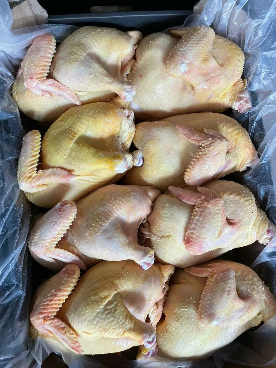 оптовая продажа мяса птицы в Нальчике и Кабардино-Балкарской республике 4